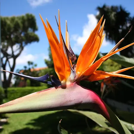 Rez De Jardin En Bord De كانيو سور مير
