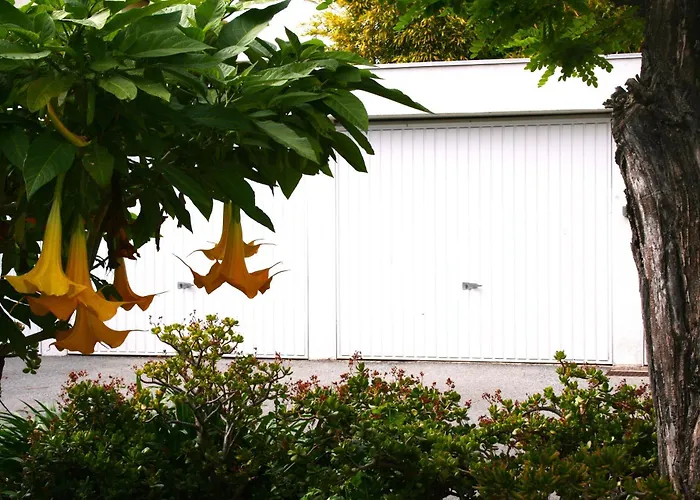 Appartement Rez De Jardin En Bord De *