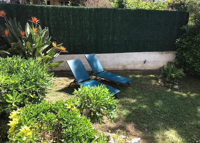 Rez De Jardin En Bord De Appartement