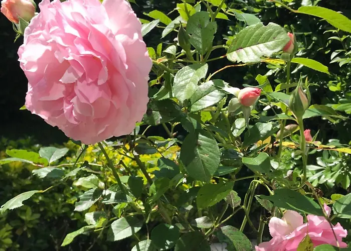 Rez De Jardin En Bord De Cagnes-sur-Mer