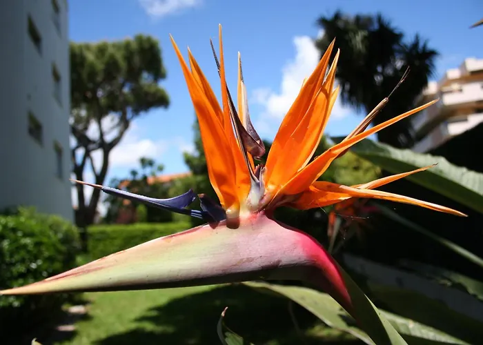 Rez De Jardin En Bord De Cagnes-sur-Mer